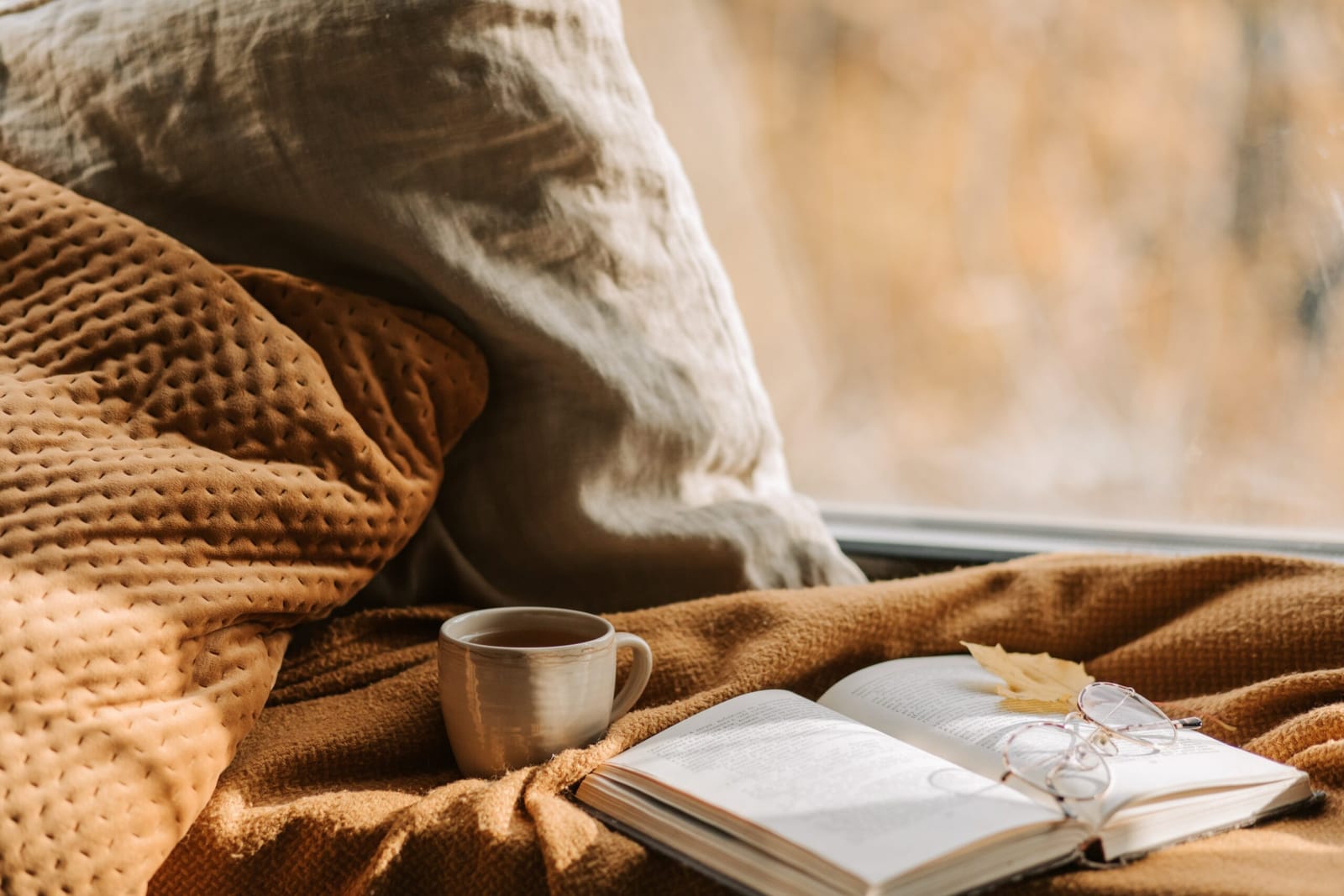 Un livre ouvert et une tasse posés sur un plaid, près d'une fenêtre